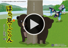 ほら、見てごらん