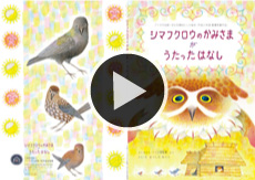 シマフクロウのかみさまがうたったはなし